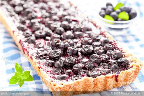 summer-blueberry-tart-recipe-recipeland image