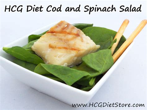 free-phase-2-recipes-free-vlcd-recipes-diet-hcg image