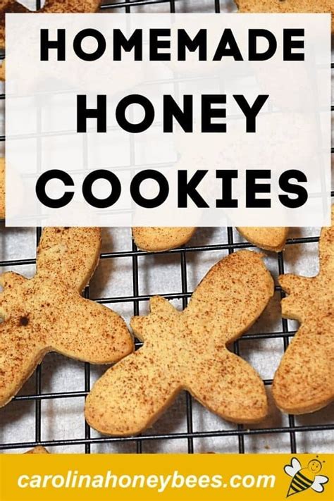 crispy-honey-bee-cookies-carolina-honeybees image
