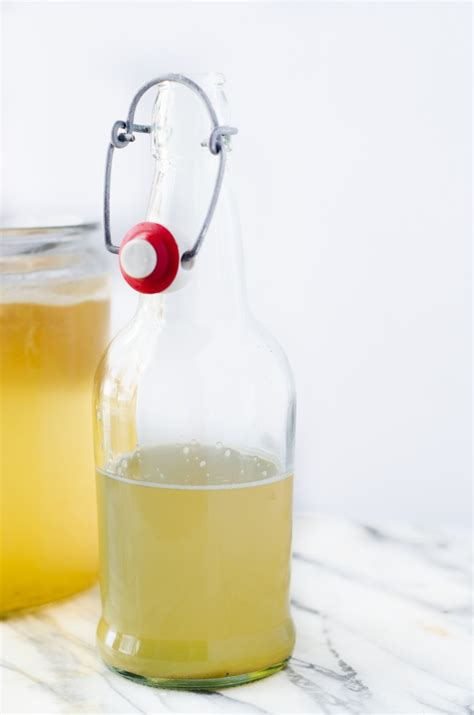 50-probiotic-fermented-drinks-beyond-kombucha image
