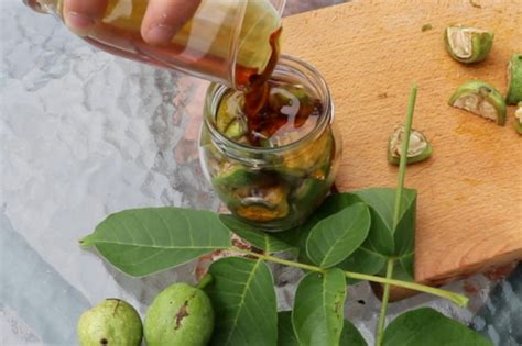 preserving-green-walnuts-in-honey image