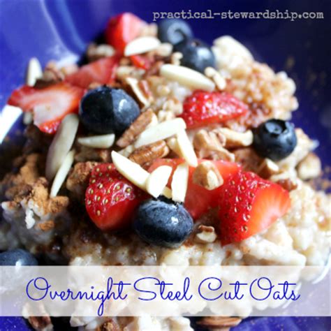 crock-pot-steel-cut-oats-recipe-practical-stewardship image