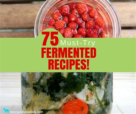 75-fermented-foods-recipes-the-organic-goat-lady image