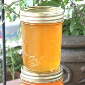apricot-jelly-canning-recipe-creative-homemaking image