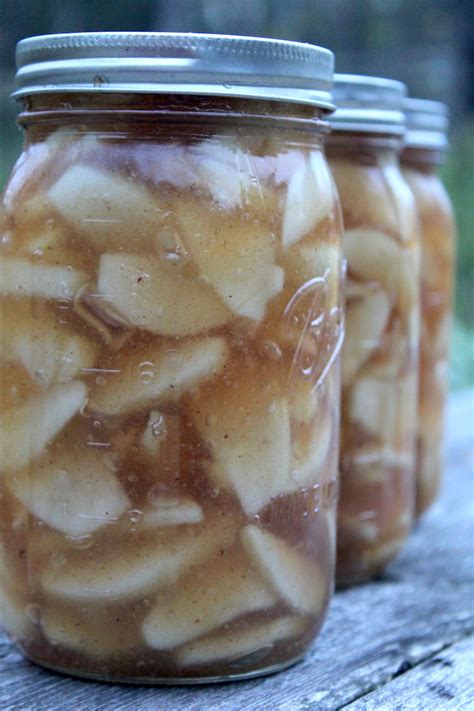 canning-apple-pie-filling-practical-self-reliance image