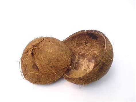 how-to-eat-coconuts-a-guide-to-using-coconut-in image