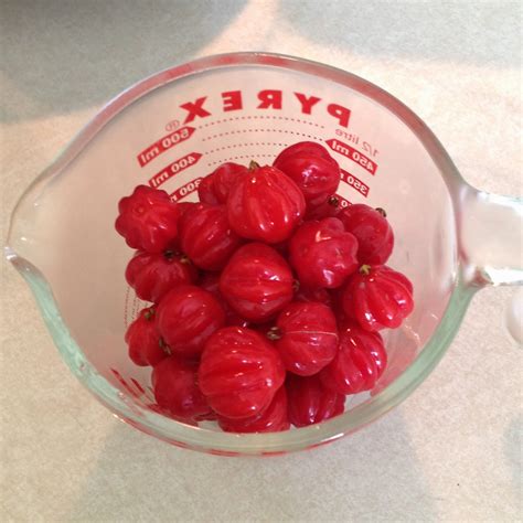 crafty-dee-recipe-surinam-cherry-jam-blogger image