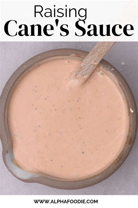 raising-canes-sauce-recipe-copycat-alphafoodie image