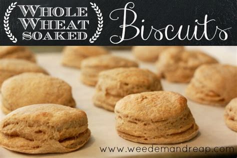 recipe-whole-wheat-soaked-biscuits-weed-em-reap image