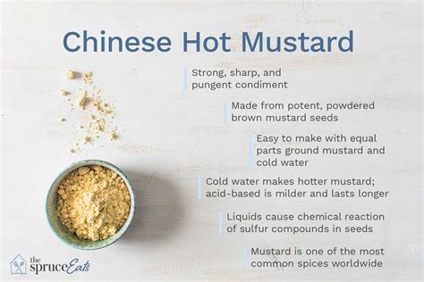 what-is-chinese-hot-mustard-the-spruce-eats image