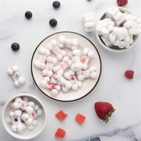 easy-frozen-yogurt-dog-treats-recipe-spoiled-hounds image