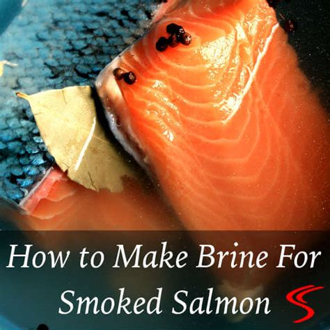how-to-make-brine-for-smoked-salmon-smoker image
