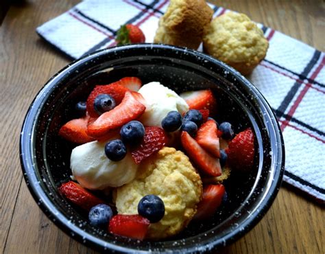 blueberry-strawberry-shortcake-apron-free-cooking image