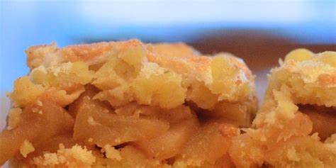 how-to-make-delicious-authentic-polish-apple-cake image