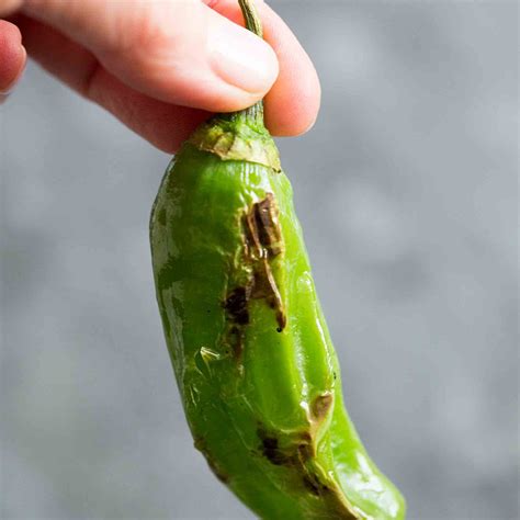 blistered-shishito-peppers-recipe-simply image