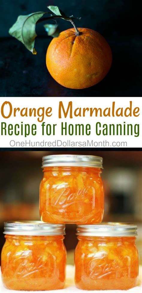 canning-101-orange-marmalade-recipe-one image