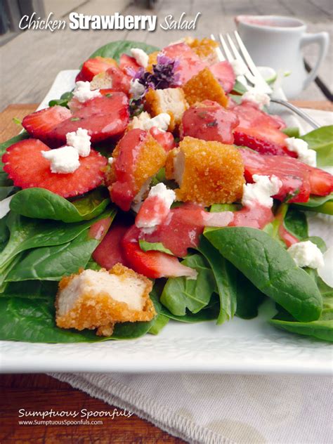 chicken-strawberry-salad-wgoat-cheese-sumptuous image