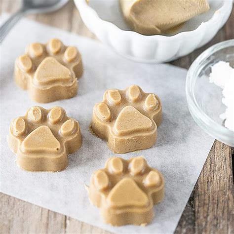 9-homemade-dog-treat-recipes-for-your-pooch-taste image