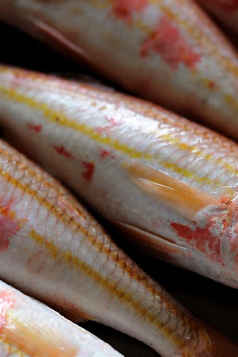 red-mullet-recipes-pan-fried-seared-red-mullet image