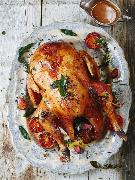 best-christmas-turkey-turkey-recipes-jamie-oliver image