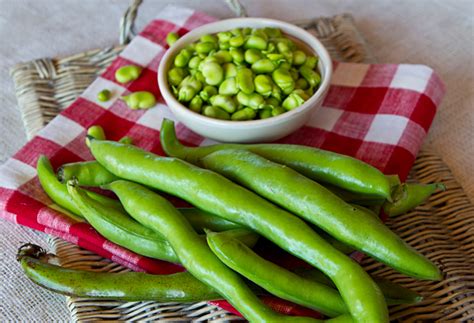 marinated-fava-beans-with-burrata-italian-food-forever image