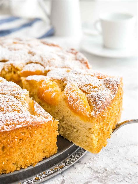 apricot-cake-recipe-with-fresh-apricots-plated-cravings image