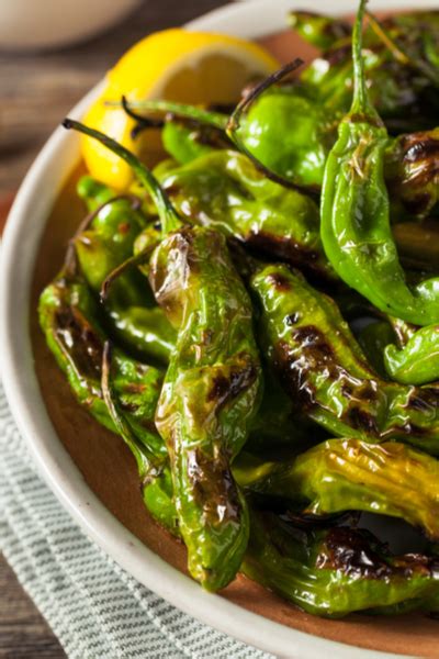 grilled-shishito-peppers-a-healthy-appetizer-from image