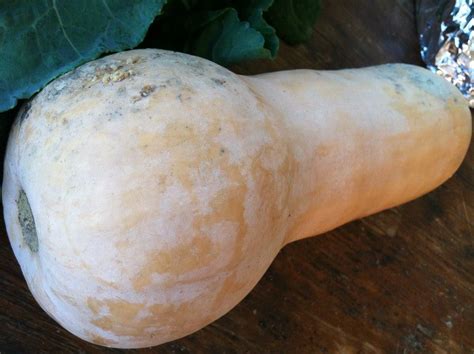 south-american-butternut-squash-stew-riverview-farms image