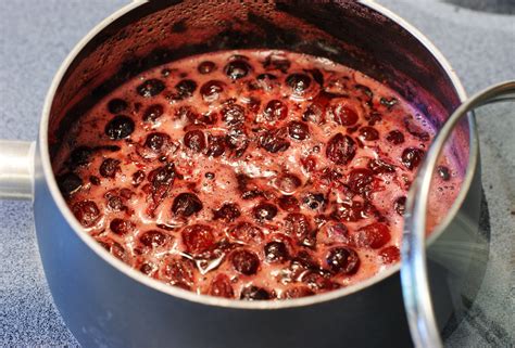 how-to-make-cranberry-sauce-foodcom image