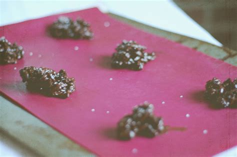 the-best-chocolate-crunchies-recipe-foodal image