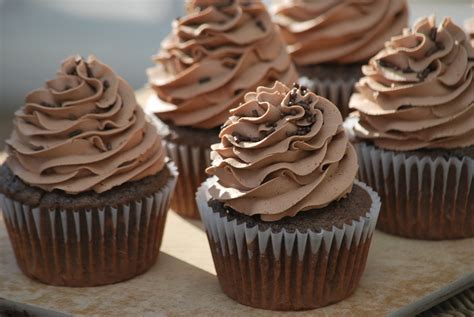 devils-food-cupcakes-with-chocolate-frosting-my image