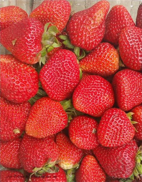 how-to-make-strawberry-fluff-dessert image