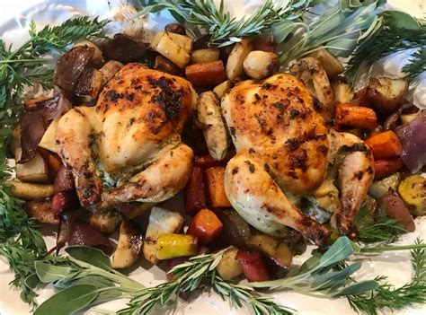 one-dish-cornish-game-hens-with-root-vegetables-the image