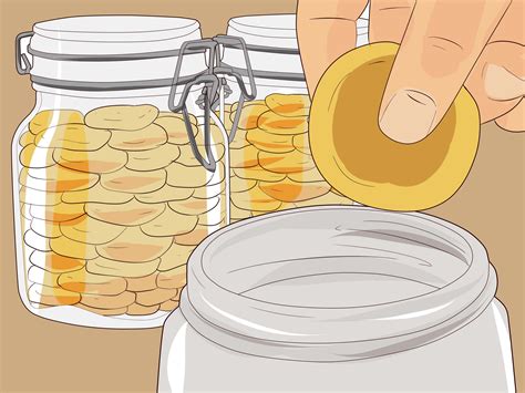 how-to-dry-apricots-with-pictures-wikihow image