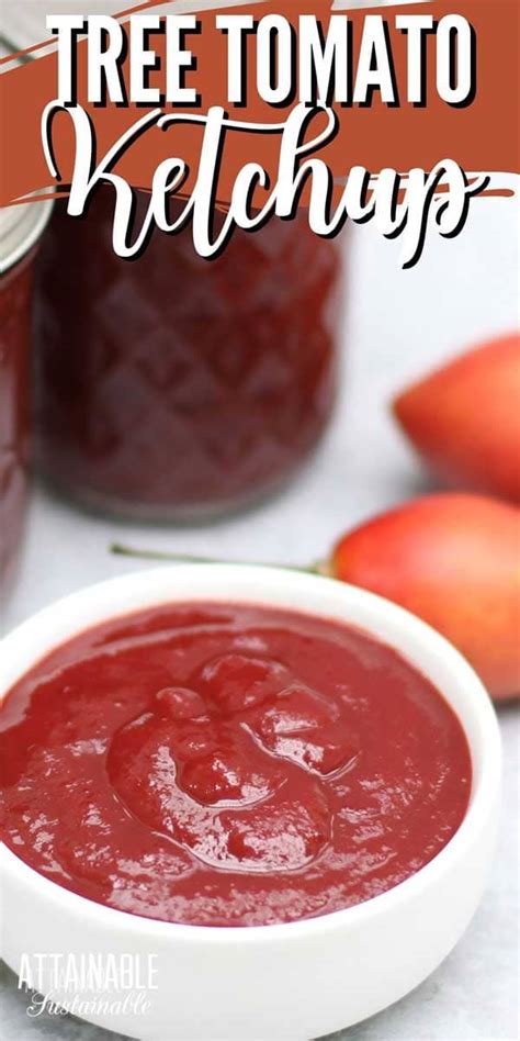 try-this-delicious-ketchup-recipe-for-canning-the-harvest image