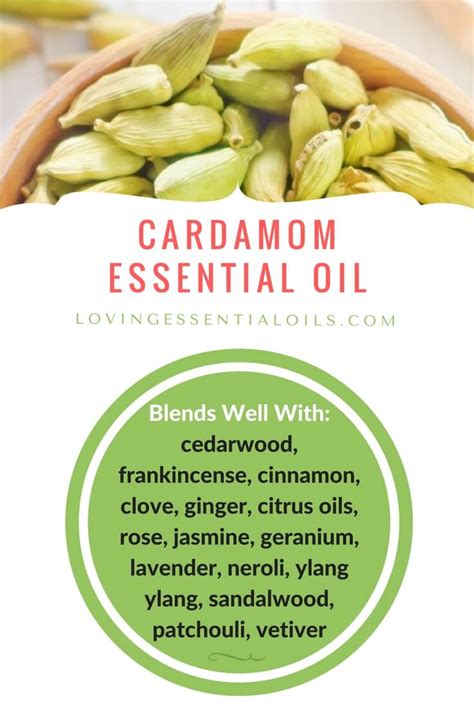 cardamom-essential-oil-recipes-uses-and-benefits image