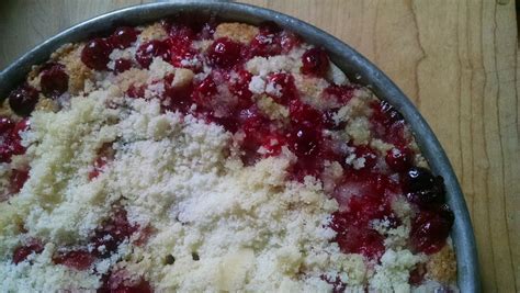 cranberry-topped-sourdough-coffee-cake-recipe-on image