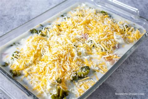 green-chile-chicken-and-rice-beyond-the-chicken-coop image