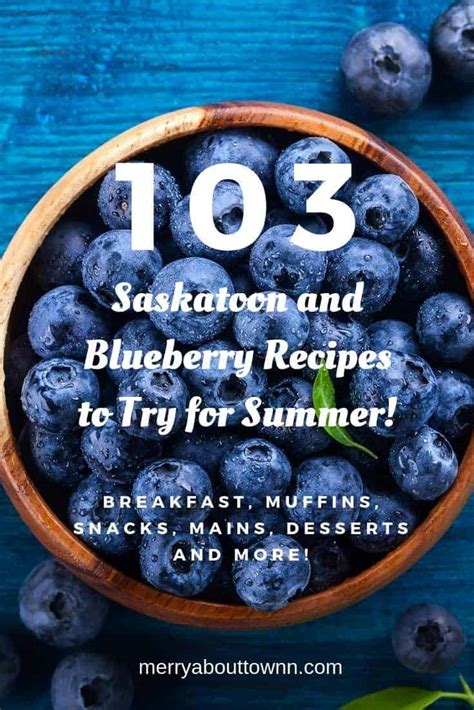 103-saskatoon-and-blueberry-recipes-for-summer-merry image