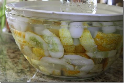pickling-lemon-cucumbers-spears-and-slices-blogger image