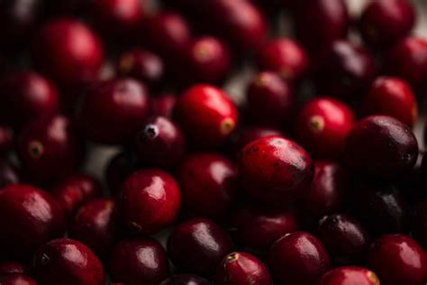 lingonberry-vs-cranberry-main-differences image