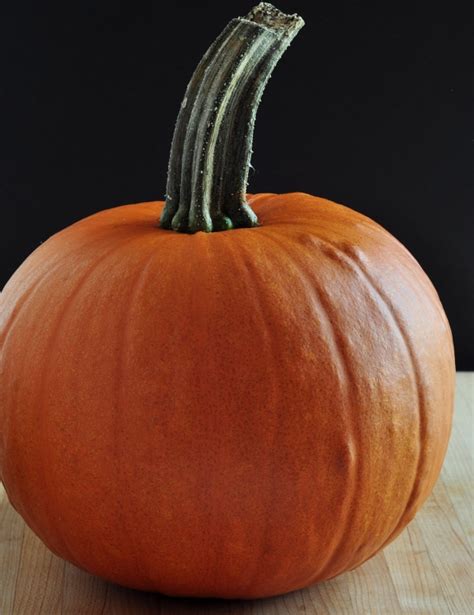 how-to-cook-a-fresh-pumpkin-the-creekside-cook image