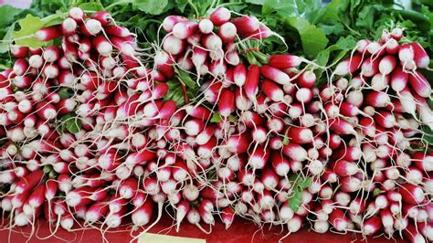 sauted-radishes-with-chives-mill-city-farmers-market image
