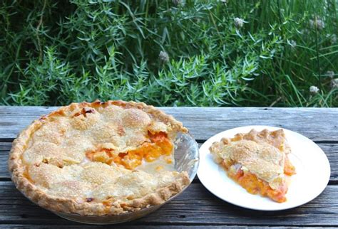 traditional-apricot-pie-homemade-golden-glory image