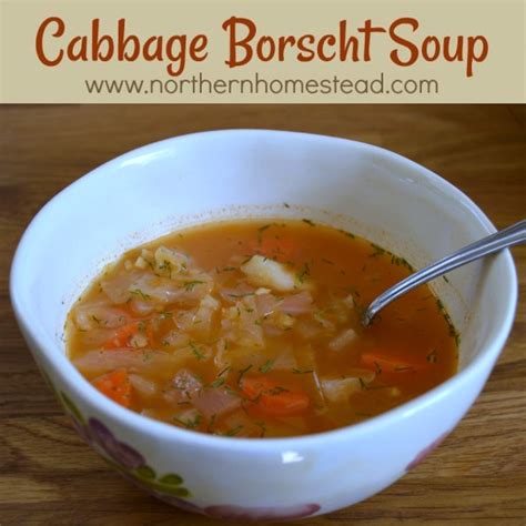 cabbage-borscht-soup-vegan-northern-homestead image
