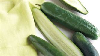30-cool-cucumber-recipes-youll-want-to-make-all image