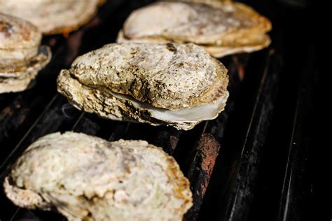 grilled-oyster-recipe-the-spruce-eats image