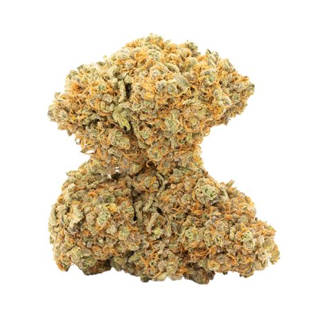 jamaican-haze-cannabismo-buy-weed-online image