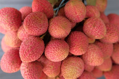 how-to-peel-and-eat-lychee-the-spruce-eats image