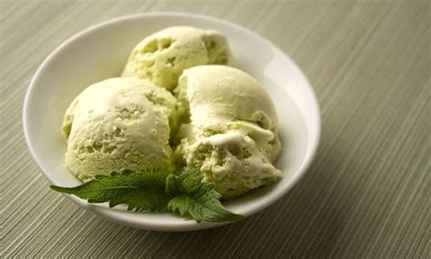 mint-ice-cream-recipe-how-to-make-fresh-mint-ice image